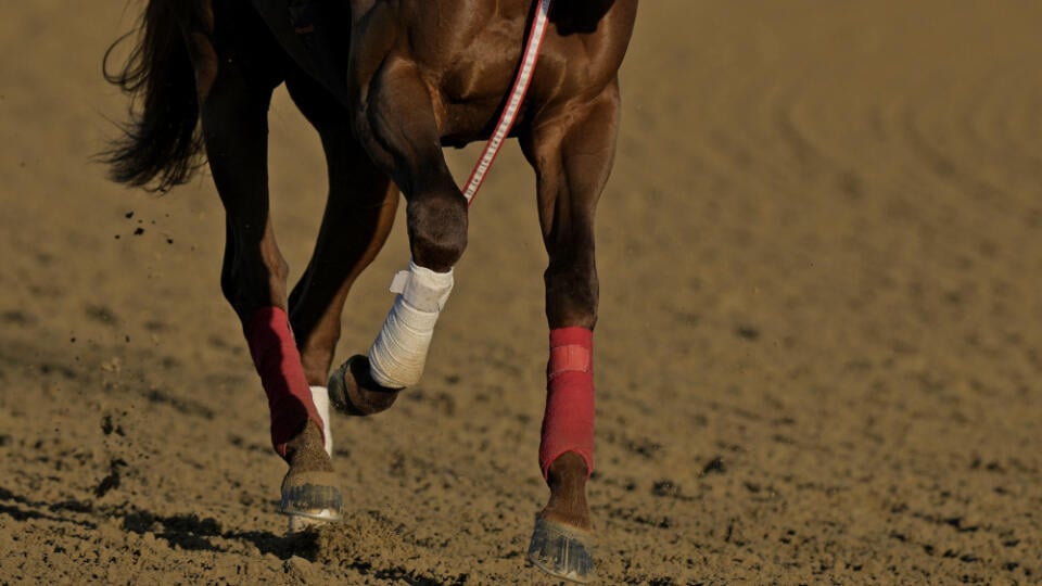 EBE 25 Louisville - Na snímke trojročný gaštanový žrebec Continuar počas tréningu pred 149. ročníkom dostihov Kentucky Derby (3-ročné kone, rovina na 2400 m) na hipodróme v Churchill Downs v americkom štáte Louisville v utorok 2. mája 2023. FOTO TASR/AP


Kentucky Derby hopeful Continuar, from Japan, works out at Churchill Downs Tuesday, May 2, 2023, in Louisville, Ky. The 149th running of the Kentucky Derby is scheduled for Saturday, May 6. (AP Photo/Charlie Riedel)