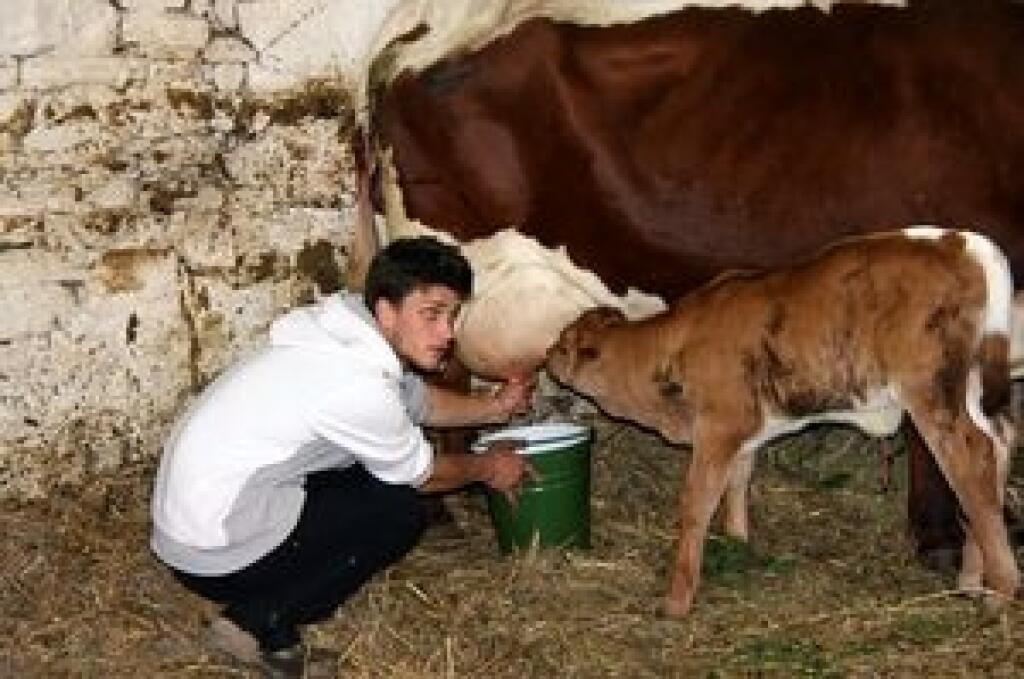 Farma štartuje 4. marca