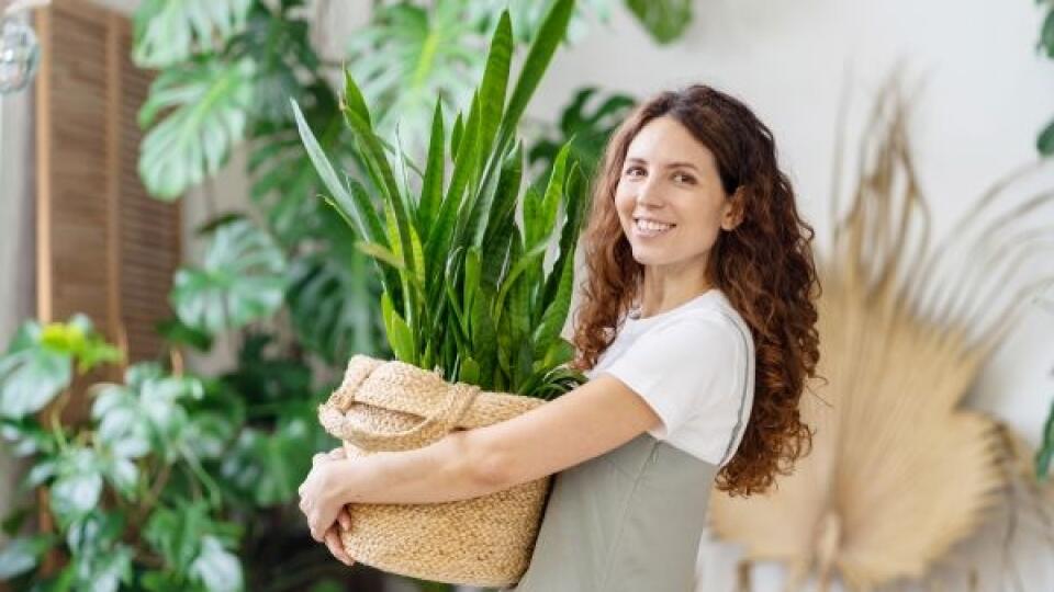 DETOX pre vašu domácnosť: Stačí ak urobíte TÚTO jednu VEC a bude sa vám doma ľahšie dýchať…