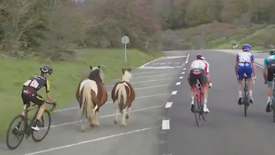 Cyklistom na Vuelte skrížili cestu poníky.