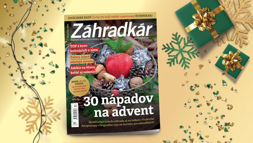 Decembrový Časopis Záhradkár.