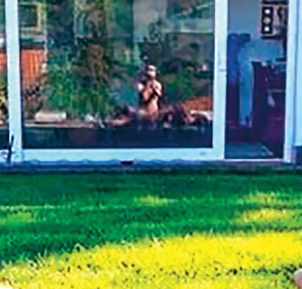 BEZ HANBY
Sisa Sklovska sa nechala
manželom vyfotiť hore
bez. V sklenenom odraze
vidieť nahého aj jeho.