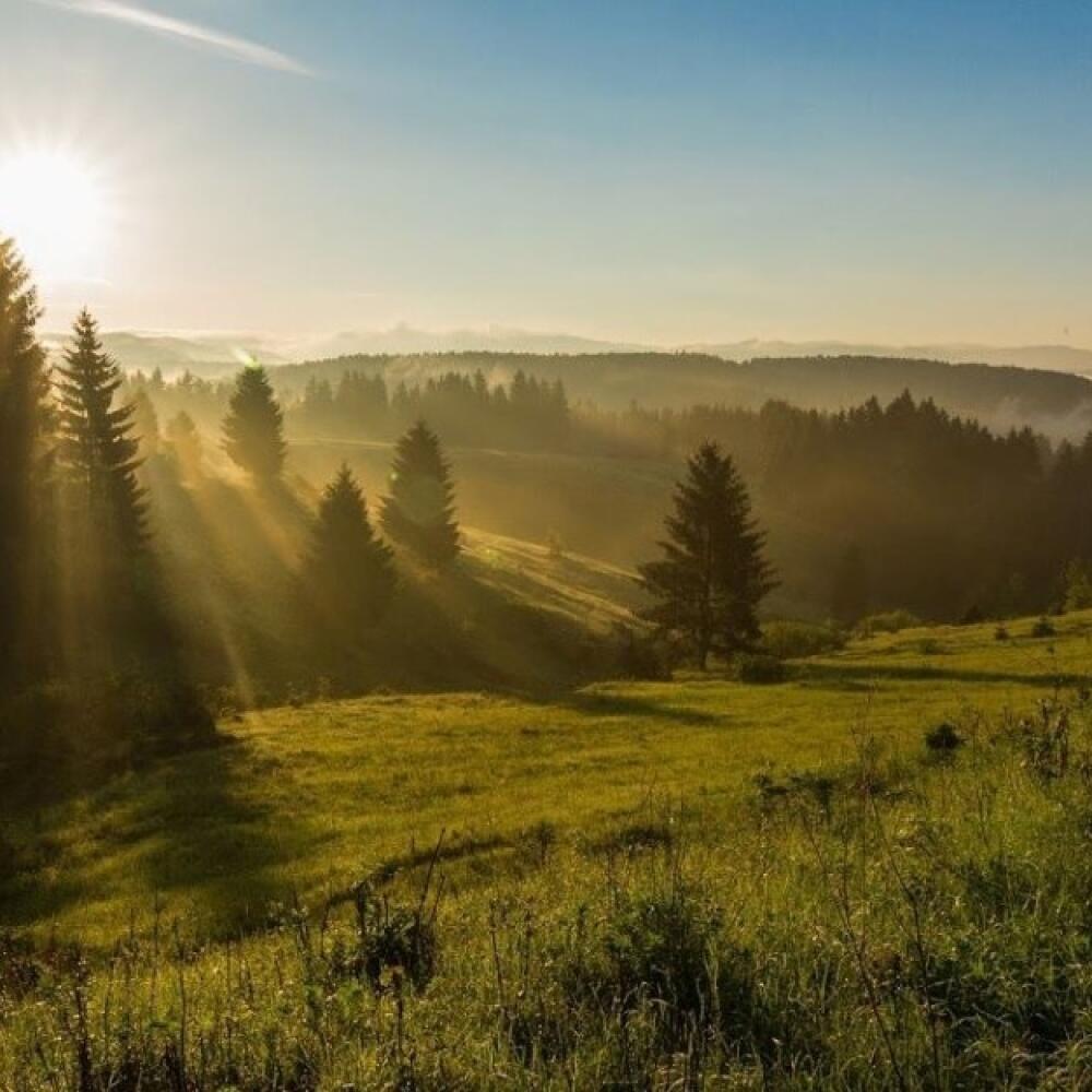 V prírode je okrem nádherného prostredia aj čerstvý a zdravý vzduch.