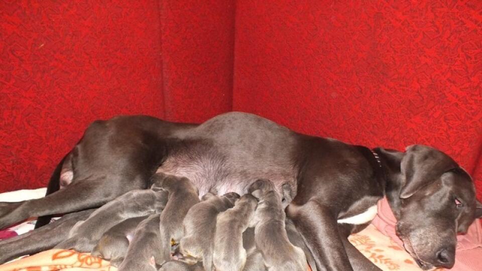 ŠŤASTNÁ RODINKA: Mama
Meggy so svojimi drobcami.