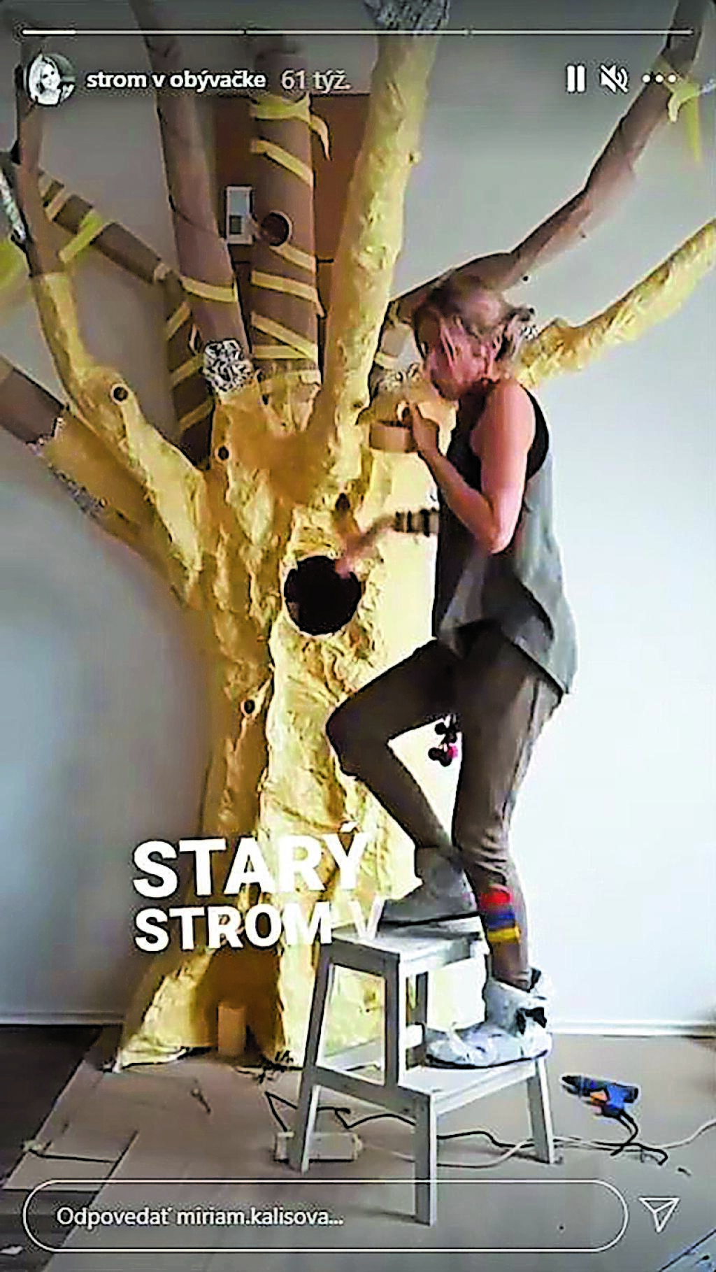 KREATÍVNA
MAJSTERKA
Kalisová
si v byte
postavila
strom.