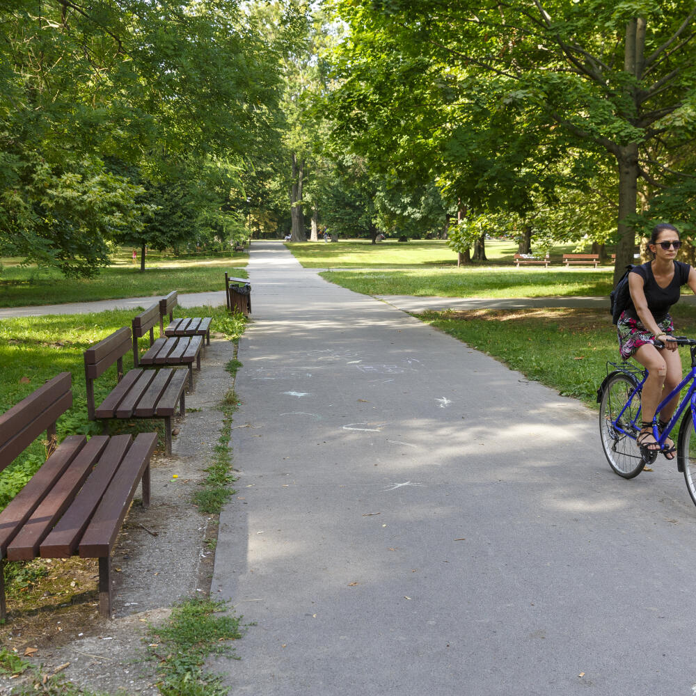 Najstarší verejný park v strednej Európe, Sad Janka Kráľa v Bratislave