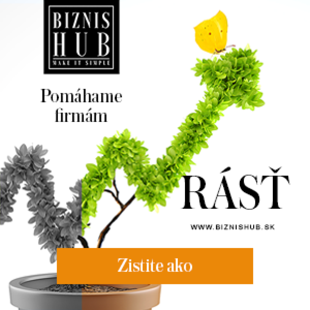 Biznis Hub