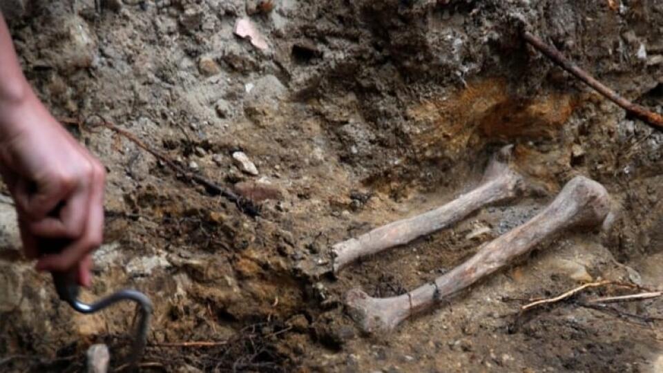 Slovenskí archeológovia pôjdu na výskum do Kuvajtu.