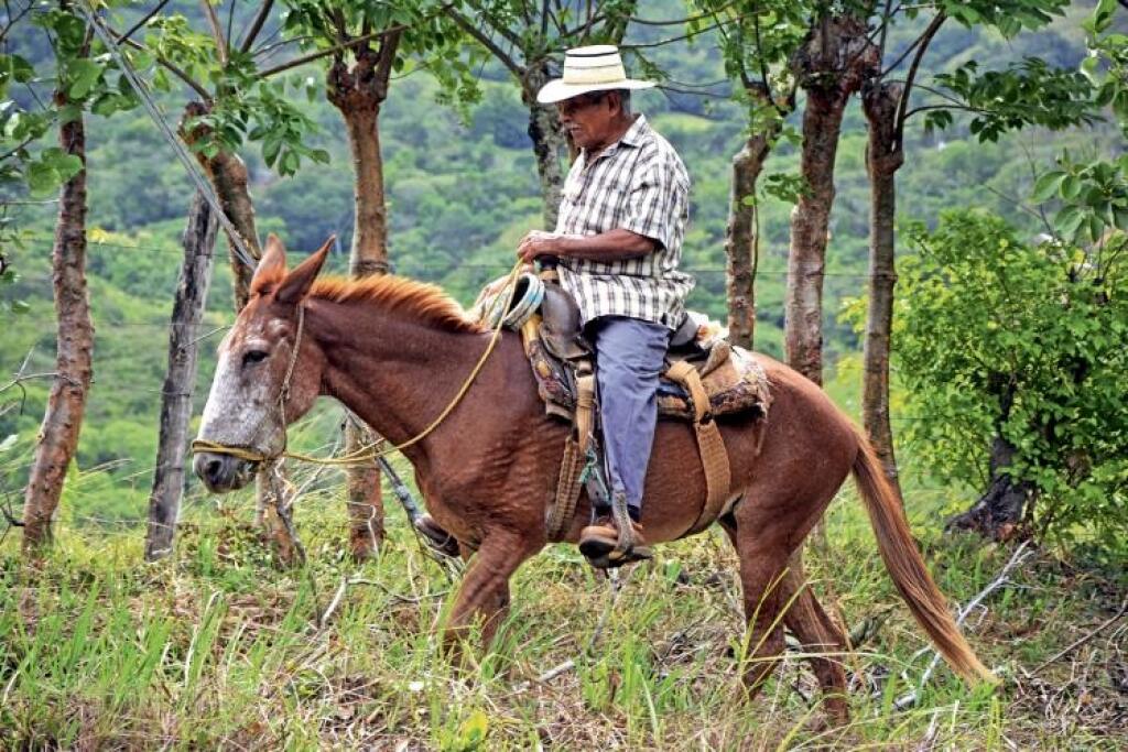 Panama: krajina diablov, Indiánov a kráľovien