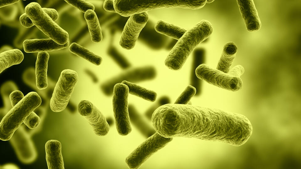 Antibiotiká by sme mali brať rozumne. Odolnosť baktérií na antibiotiká je vážnou hrozbou budúcnosti.