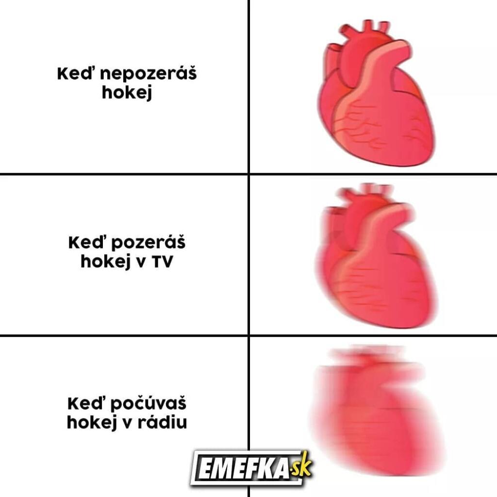 Majstrovstvá sveta v hokeji neprinášajú len krásne góly a súboje o víťazstvá, ale aj množstvo vtipov.