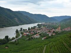 Víno vám tu nalejú aj mnísi. Údolie Wachau ponúka tisícku pivníc i výlet na TENTO zámok