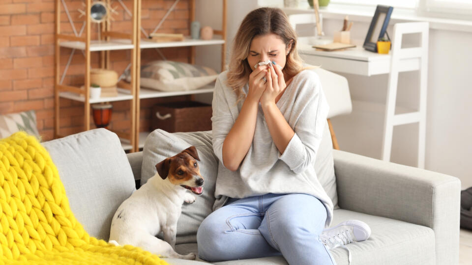 Young,Woman,Suffering,From,Pet,Allergy,At,Home