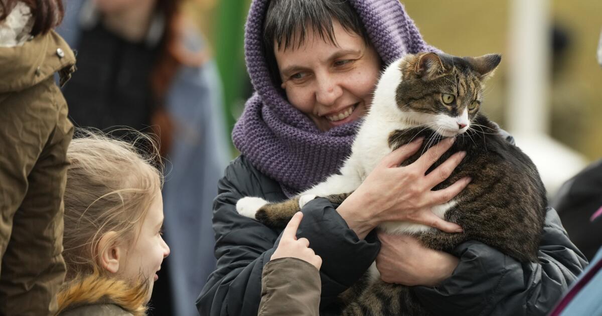 Polacy akceptują przyjazd uchodźców z Ukrainy