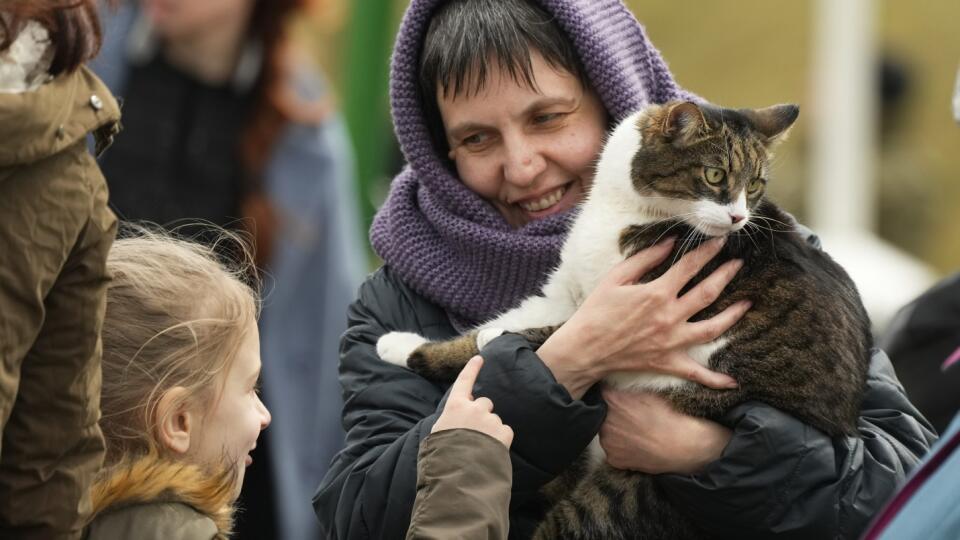 KK10 Medyka - Larisa utekajúca pred vojenským konfliktom na Ukrajine drží kocúra Felixa na poľsko-ukrajinskom hraničnom priechode Medyka na hraniciach s Poľskom 6. apríla 2022. FOTO TASR/AP
Larisa Pradko, a refugee from Kharkiv, holds her cat Felix after fleeing the war from neighboring Ukraine at the border crossing in Medyka, southeastern Poland, Wednesday, April 6, 2022. (AP Photo/Sergei Grits)