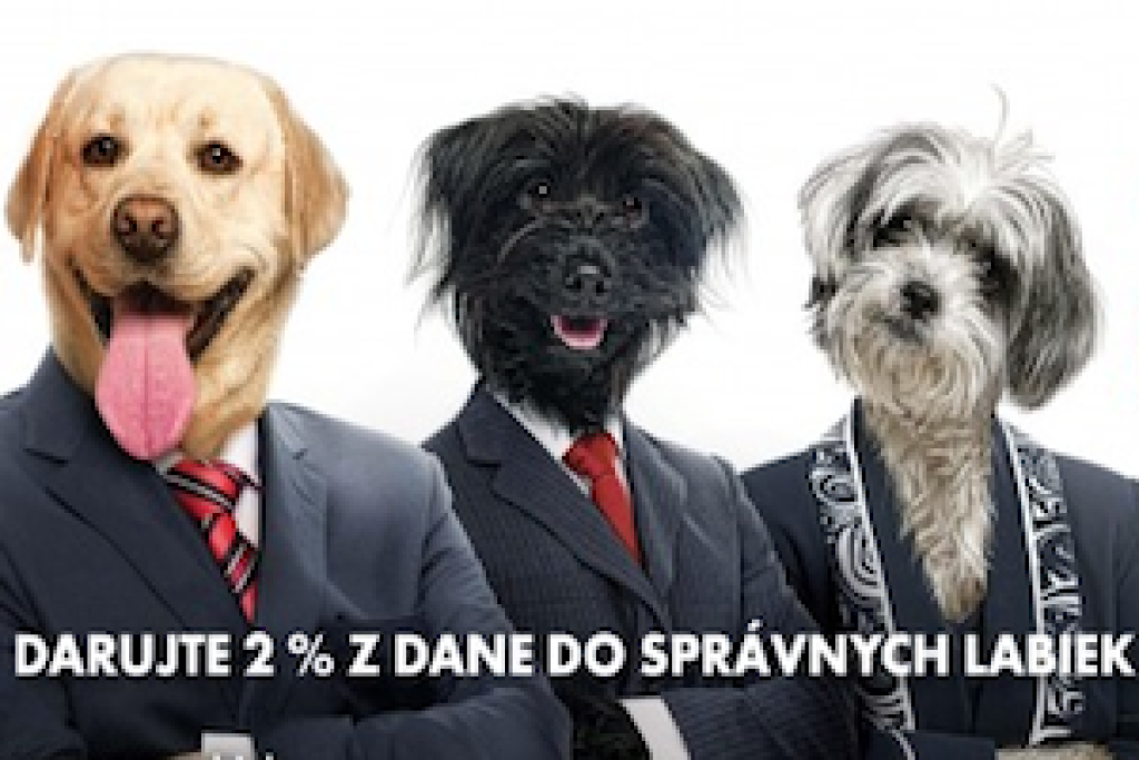 Pes v núdzi sa naváža do kampane Smeru. Chce 2 percentá