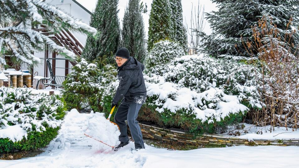 V prípade snehovej pokrývky udržiavajte čisté chodníky a sneh otraste aj z drevín, hlavne z previsnutých a štíhlych odrôd.