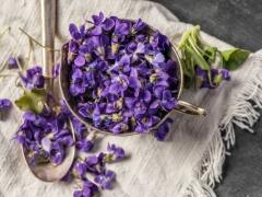 Voňavé fialky prekvapia ZDRAVIE! 5 zaujímavostí, ktoré ste o kvetoch nevedeli