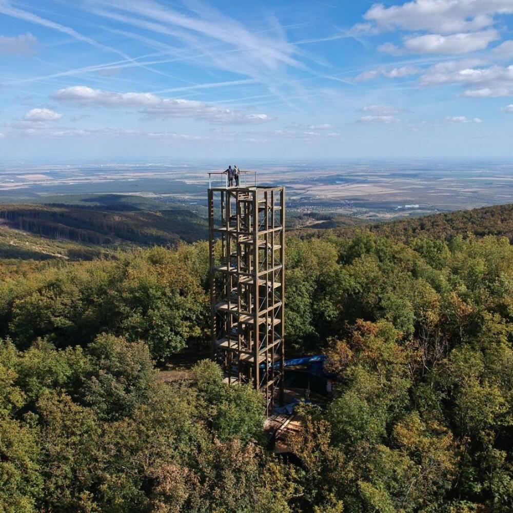 Veľká homoľa (709,2 m n. m.) je vrchol v Malých Karpatoch asi 4 km severozápadne od mesta Modra.
Na vrchole kopca sa nachádza drevená rozhľadňa vysoká 20 metrov. Bola postavená v roku 2018 na mieste starej rozhľadne z roku 2001.
Z rozhľadne je kruhový výhľad na panorámu Malých Karpát, na Považský Inovec, Tribeč a aj rakúske Alpy.