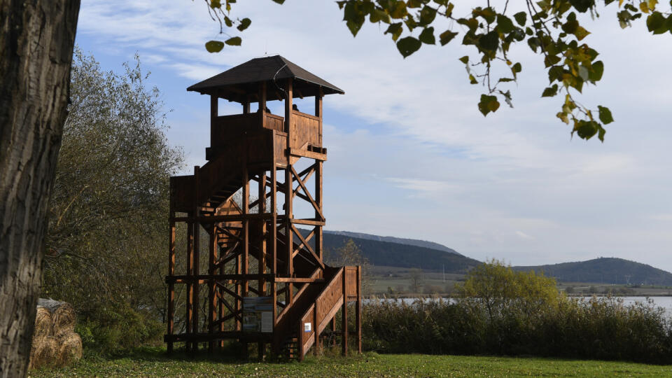 Dve vyhliadkové veže na pozorovanie vtáctva otvorili 30. októbra 2019 zástupcovia Správy NP Slovenský kras pri Hrhovských rybníkoch v ochrannom pásme NP Slovenský kras v okrese Rožňava. Vyhliadkové veže sa realizovali v rámci projektu „Úžasný vtáčí svet bez hraníc“ z programu spolupráce INTERREG V-A Slovenská republika – Maďarsko. Na snímke západná vyhliadková veža pri Hrhovských rybníkoch. Hrhov, 30. októbra 2019. FOTO TASR – Milan Kapusta