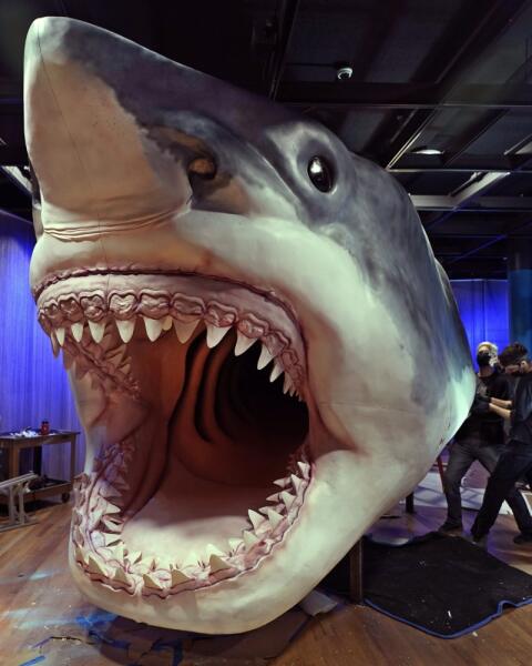 Najväčší žralok všetkých čias: TOTO monštrum by ste stretnúť nechceli!