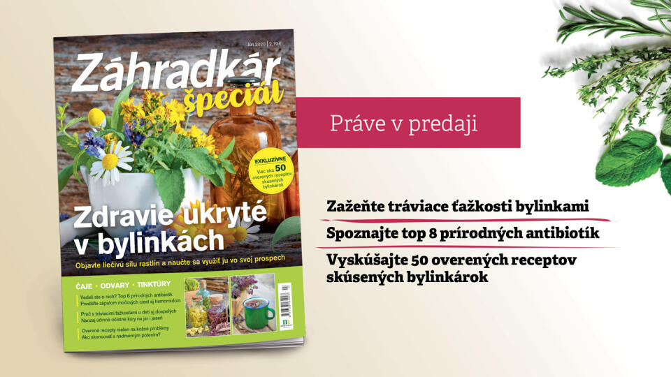 Záhradkár špeciál: Zdravie ukryté v bylinkách nájdete v každej dobrej predajni novín a časopisov až do 17. septembra 2020