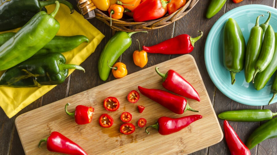 Paprika sa dá pestovať v skleníku či vo fóliovníku, na hriadke, dokonca i v nádobe na balkóne. Vybrať si môžete z veľkého množstva odrôd podľa farby, tvaru alebo veľkosti plodov, ale aj podľa štipľavosti.