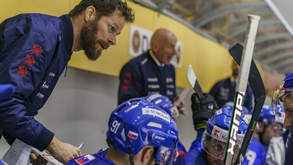 Počas prípravného zápasu Slovenskej hokejovej reprezentácie pred MS proti Švédsku na zimnom štadióne v Topoľčanoch.