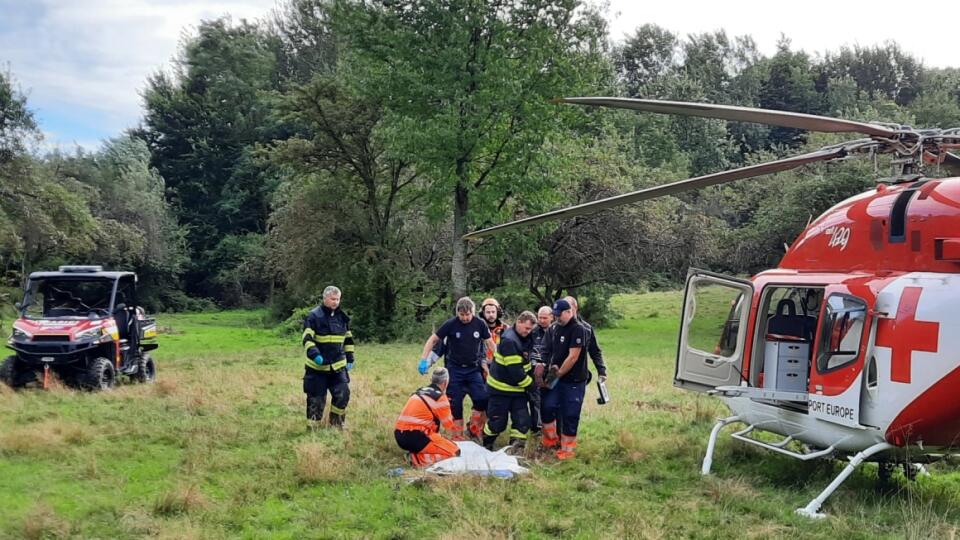 V obci Hradište na juhu Slovenska napadol 1. septembra medveď 58-ročnú ženu. Utrpela množstvo zranení, hlavne na hlave a krku. Do nemocnice ju museli previesť leteckí záchranári.