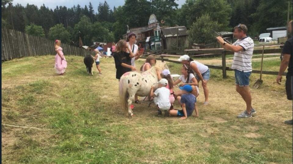 Na spomínanom festivale deti maľovali na živých poníkov.