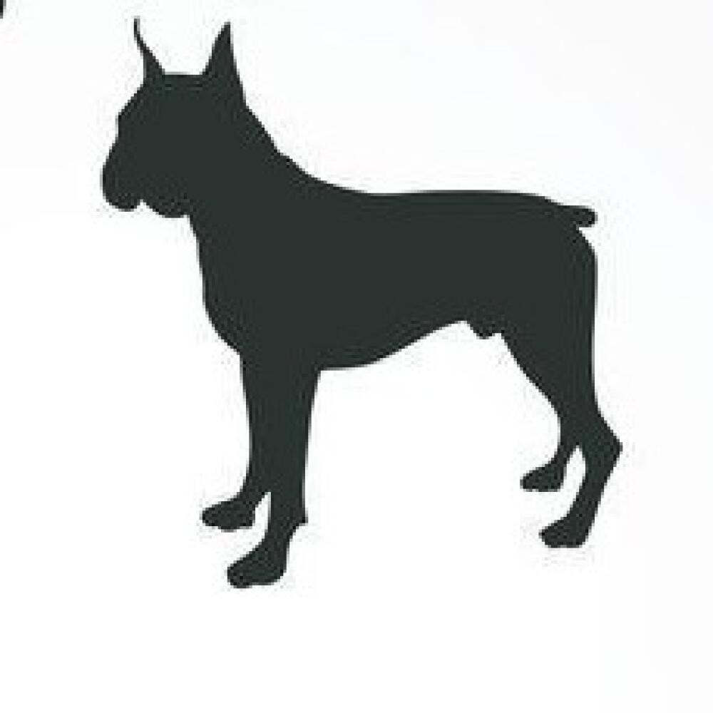 Boxer