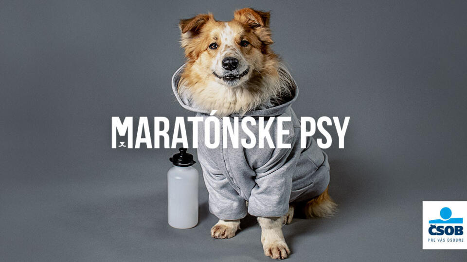 Maratónske psy