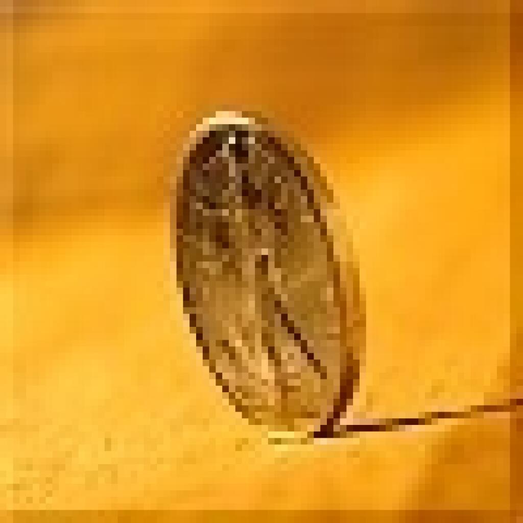 Cash pooling: viac účtov, jeden zostatok