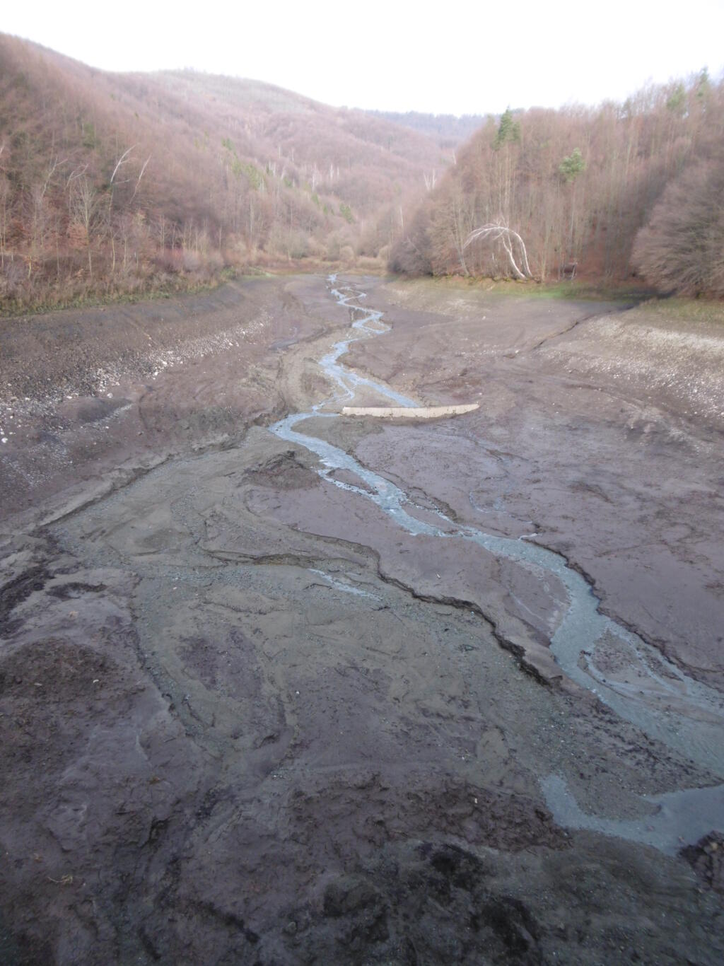 Vlčia dolina po vypustení