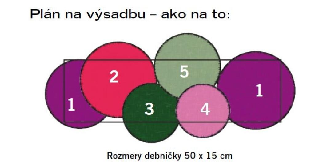 Inšpirujte sa výsadbou na jeseň.