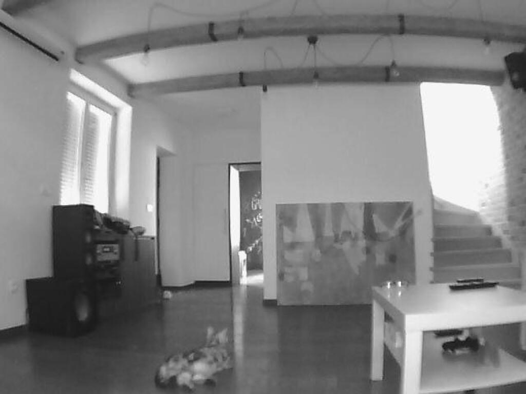 Mydlink Home Monitor 360: Nastaviť strážcu domu zvládne aj úplný laik