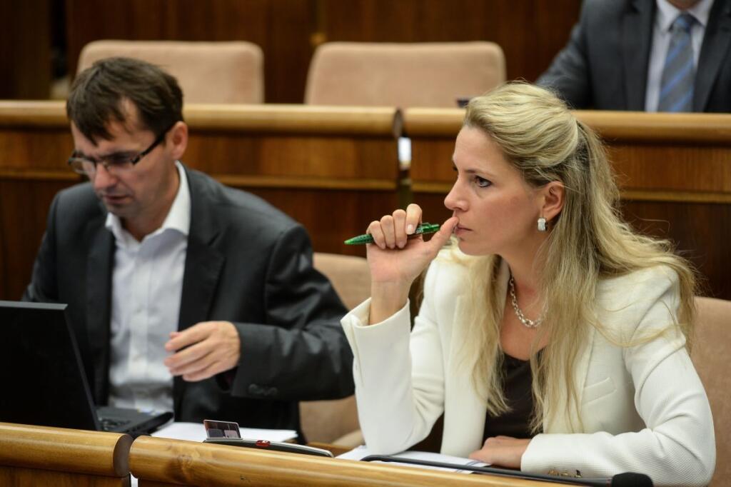 Nespokojní členovia strany SaS zakladajú vnútrostranícku platformu