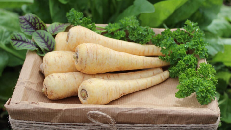 Harvested,Parsnip,And,Different,Herbs