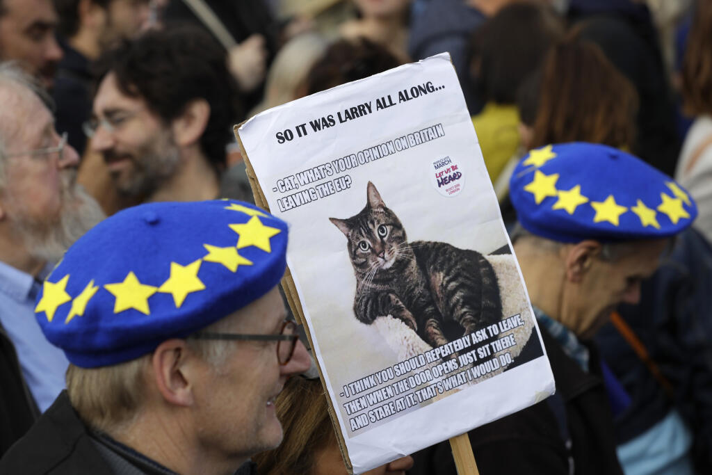 Británia brexit protest