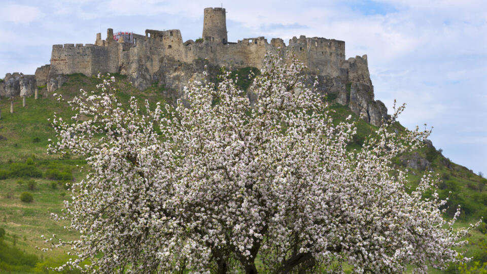 Spišský hrad je opäť prístupný turistom od piatka 8. mája 2020. Prehliadka hradu sa koná za zvýšených bezpečnostných opatrení v dôsledku zamedzenia šírenia pandémie koronavírusu. Návštevníci musia mať rúška a pri vstupe si dezinfikujú ruky. Rúška sa na hrade nedajú zakúpiť, návštevníci musia mať vlastné. V sobotu 9. mája na to doplatila štvorčlenná rodina, ktorá rúška nemala a na hrad ich nepustili. Prehliadka hradu je v obmedzenom rozsahu. Nie je prístupná hradná veža a muzeálna expozícia pod v