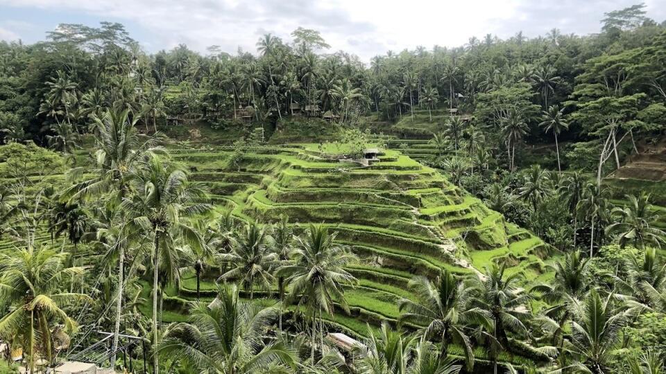 Tropická zeleň, ryžové polia a magické chrámy robia z Bali jedno z najfotogenickejších miest na svete. 