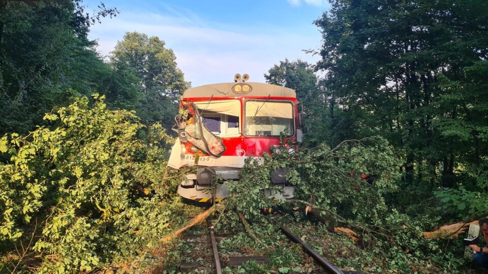 POČAS SILNEJ BÚRKY SPADOL NA VLAK STROM