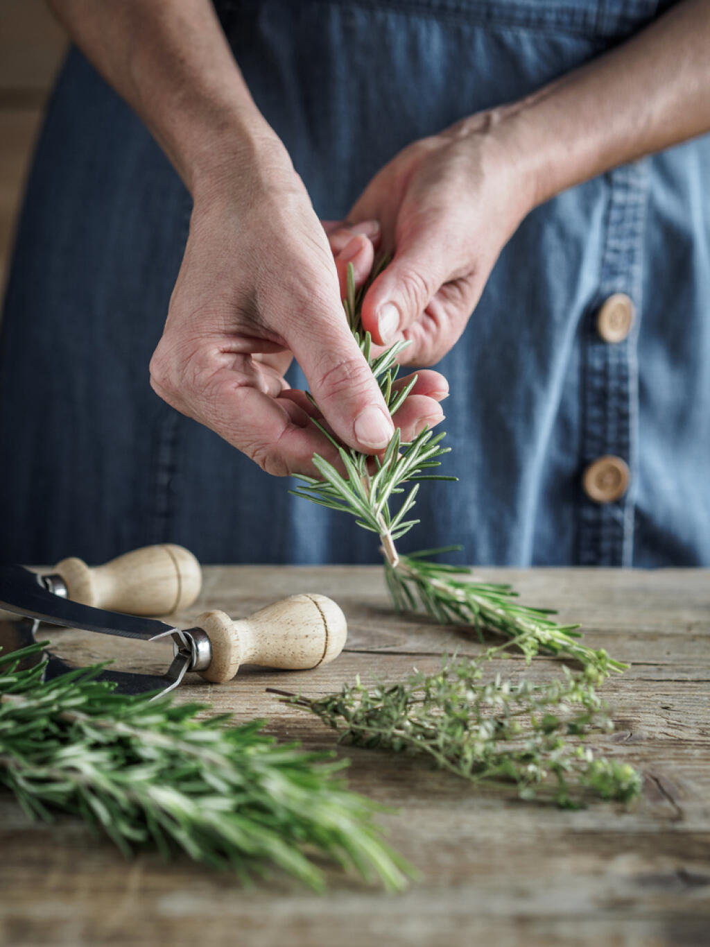 Rozmarín je veľmi aromatická bylinka.