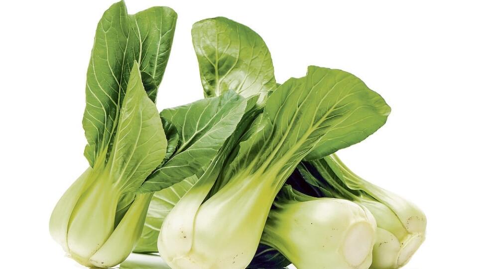 Kapusta pak choi