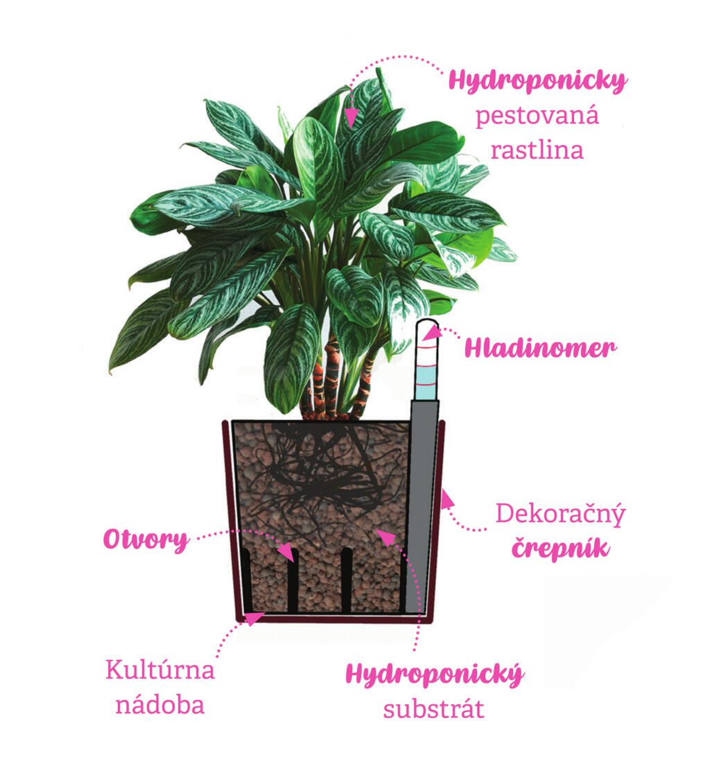 Prierez hydroponickým črepníkom