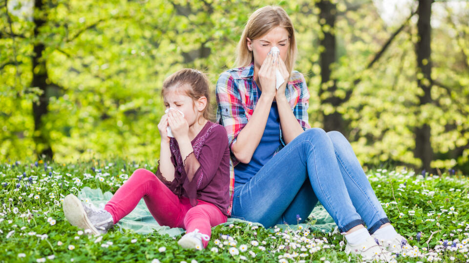 Two,People,With,Allergy,Symptom,Blowing,Nose