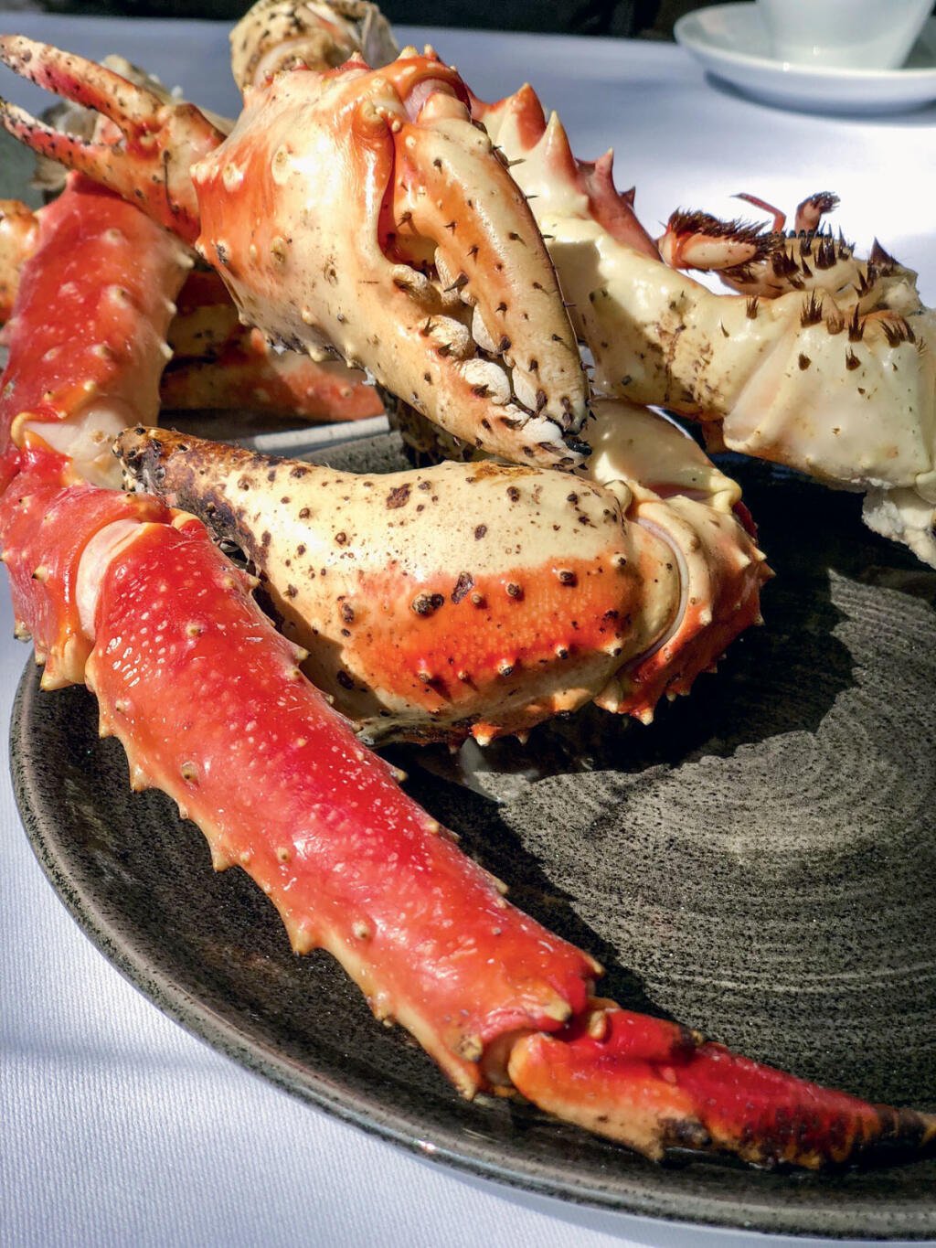 Monštrum z ľadového oceána je vzácna pochúťka 8/10