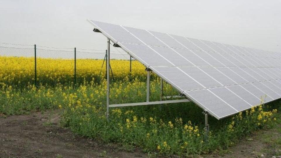 SUPERCENY: Štát sa zaviazal vykupovať
elektrinu vyrobenú zo slnečnej
energie mimoriadne výhodne. Za jednu
megawatthodinu zaplatí 431 eur.
Preto bol o licencie veľký záujem.