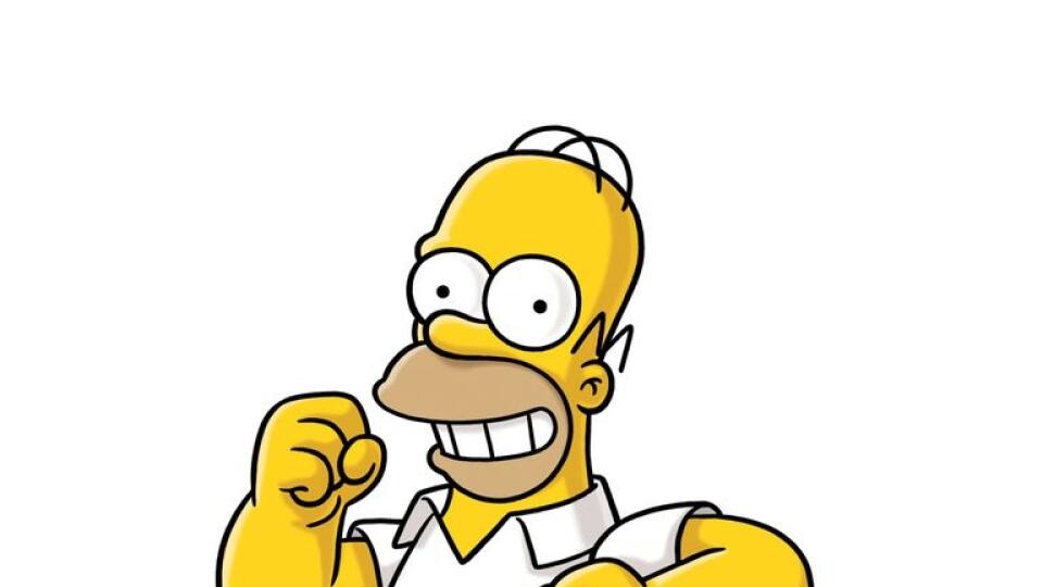 Homer Simpson.