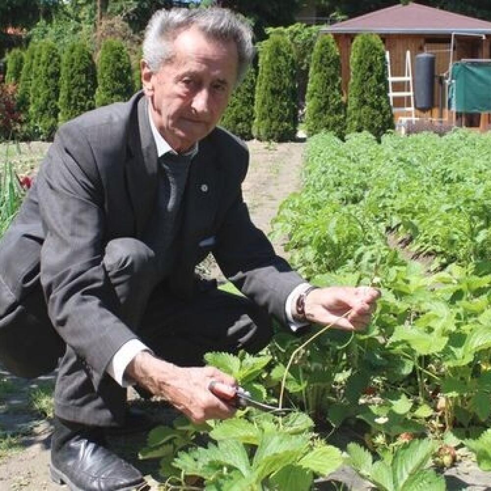 Chcete vedieť, ako mať počas jednej sezóny dve úrody brusníc? Čo môže spôsobovať spŕchavanie ríbezlí? Aj na takéto otázky odpovedal skúsený odborník.